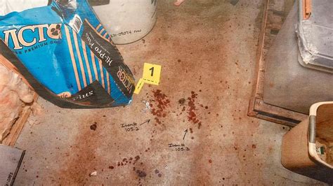 alex murdaugh crime scene photos|Alex Murdaugh Trial: Gruesome Crime Scene Photos Shown In。